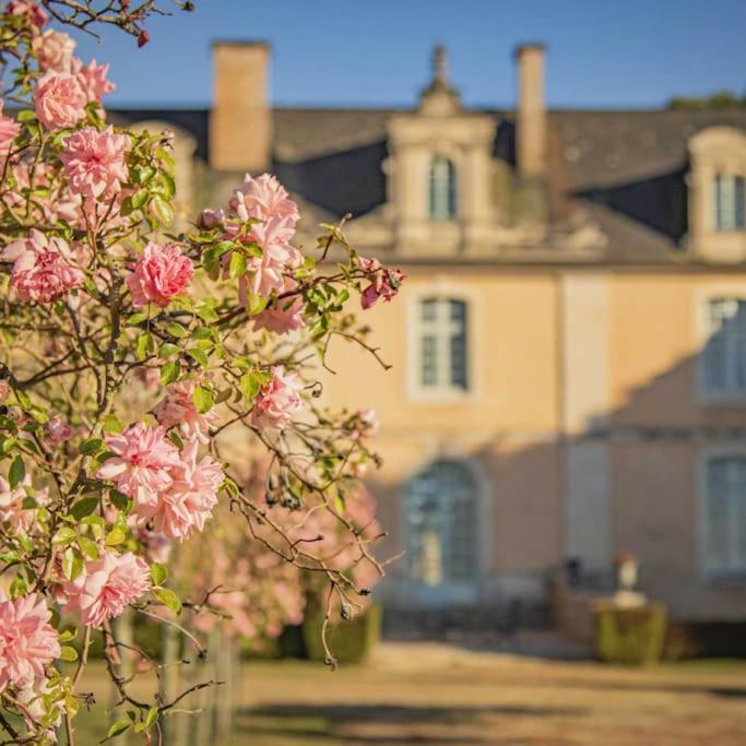 Chateau D'Ardenay Sur Merize Exterior photo
