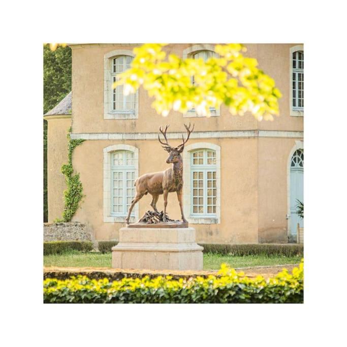 Chateau D'Ardenay Sur Merize Exterior photo